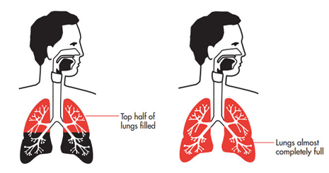 زبان بدن Body Language