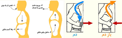 ارتباط ذهن و بدن